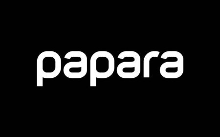 Papara Merkezli Yasa Dışı Bahis Operasyonu: 8 Şirkete El Kondu, Kayyum Atandı