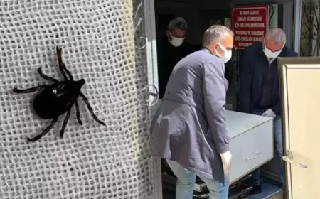 Kabus Bitmiyor: Kentte Bir Kayıp Daha