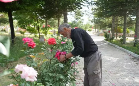 Rüyasıyla Hayatı Değişti, 16 Yıl Ücretsiz Mezarlık Temizledi: “Gerçek Dostlarım Burada