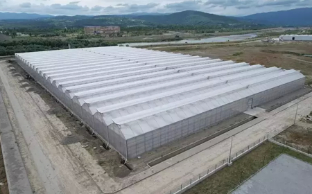 Çaycuma Sera Organize Tarım Bölgesi Üretime Başladı: 1000 Kişilik İstihdam, 750 Milyon TL Katkı