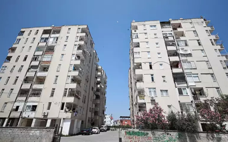 Tarsus’ta Siteye Dadanan Maymun İçin Kafesli Önlem