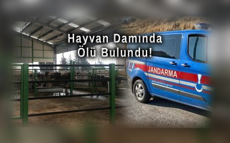 Nazilli'de 17 Yaşındaki Damla Gülüş Hayvan Damında Ölü Bulundu