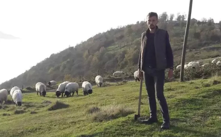 Gümüşhane ve Çankırı’da Kene Isırması Kaynaklı KKKA Vakaları: İki Can Kaybı