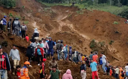 Kolombiya’da Toprak Kayması: 10 Ölü, 15 Yaralı