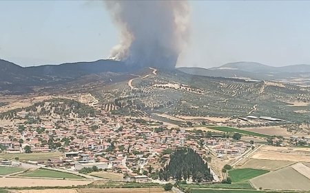 İzmir'in Foça ve Aliağa İlçelerinde Orman Yangını: Havadan ve Karadan Müdahale Sürüyor