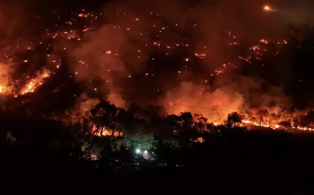 İzmir Aliağa’daki Orman Yangını 20 Saatte Kontrol Altına Alındı: 175 Ev Boşaltıldı, 550 Kişi Tahliye Edildi