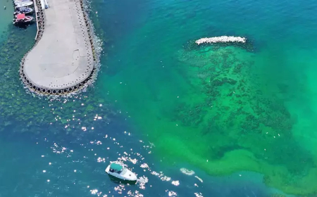 Marmara Denizi Alarm Veriyor: İleri Biyolojik Arıtma Oranı Hâlâ Yetersiz