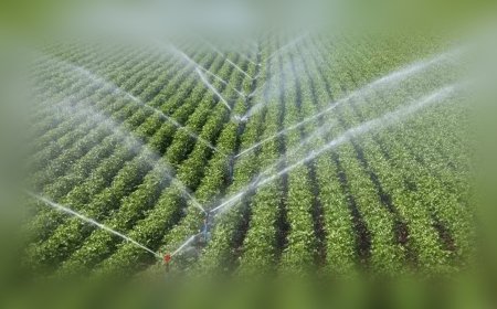 Tarımsal Sulamaya Dev Hibe: Açık Alan Projeleri de Destek Kapsamında