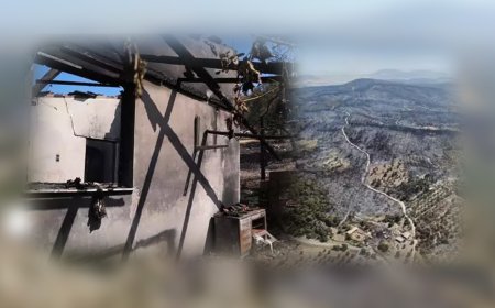 İzmir Aliağa'da Başlayan Yangın Foça’ya Sıçradı: Ağıllar Kül Oldu, Hayvanlar Son Anda Kurtarıldı