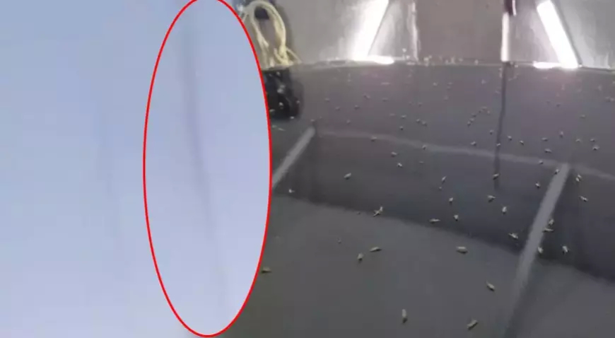 Tekirdağ Süleymanpaşa’da Sinek İstilası Hayatı Felç Etti: Esnaf Çaresiz