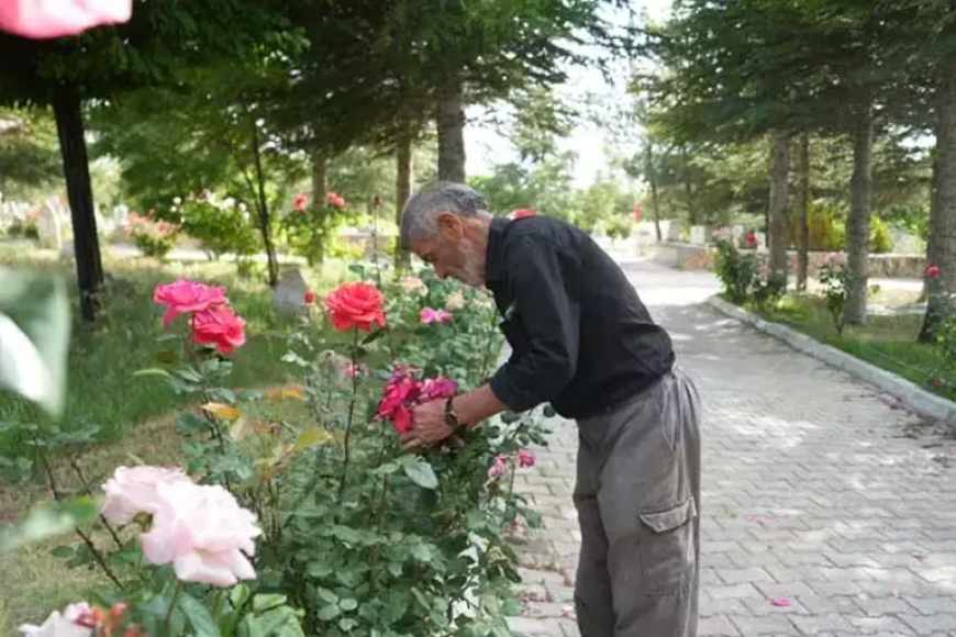 Rüyasıyla Hayatı Değişti, 16 Yıl Ücretsiz Mezarlık Temizledi: “Gerçek Dostlarım Burada