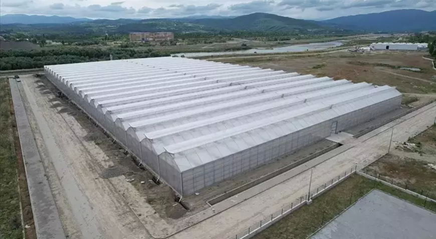 Çaycuma Sera Organize Tarım Bölgesi Üretime Başladı: 1000 Kişilik İstihdam, 750 Milyon TL Katkı