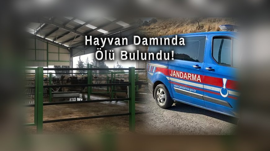 Nazilli'de 17 Yaşındaki Damla Gülüş Hayvan Damında Ölü Bulundu