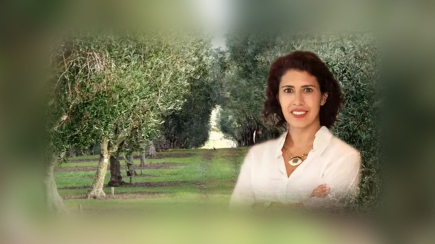 YEKÜD'den Maden Yasası Açıklaması: “Zeytin Ağaçları Kesilmeyecek, Taşınacak”