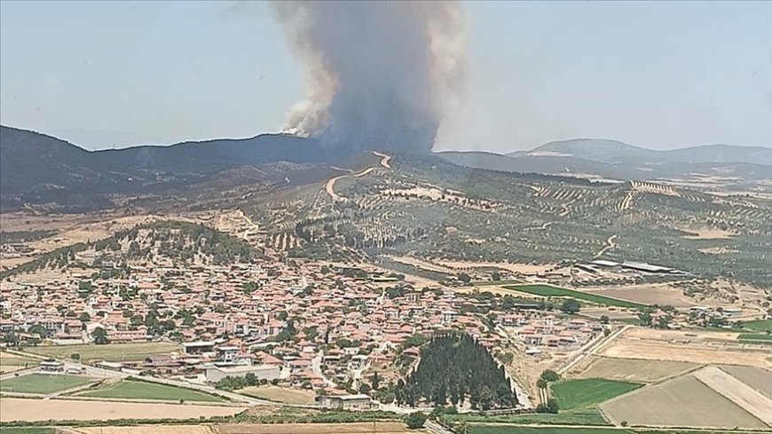 İzmir'in Foça ve Aliağa İlçelerinde Orman Yangını: Havadan ve Karadan Müdahale Sürüyor