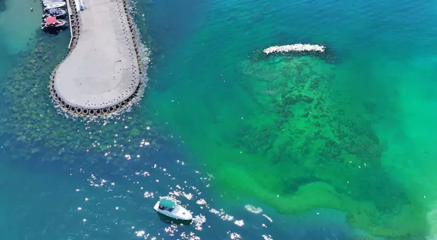 Marmara Denizi Alarm Veriyor: İleri Biyolojik Arıtma Oranı Hâlâ Yetersiz