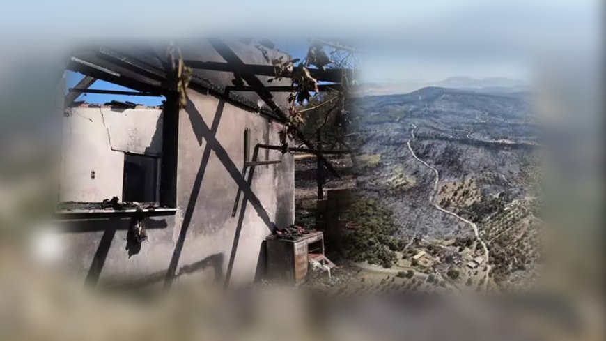 İzmir Aliağa'da Başlayan Yangın Foça’ya Sıçradı: Ağıllar Kül Oldu, Hayvanlar Son Anda Kurtarıldı