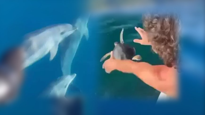 Doğayla Dayanışma: İnsan ve Hayvan Arasındaki Görünmeyen Bağ