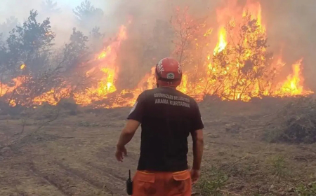 Eskişehir'de Orman Yangını Faciası: 10 Kahraman Şehit Oldu
