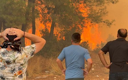 Antalya, Mersin ve Muğla’da Orman Yangınları Sürüyor