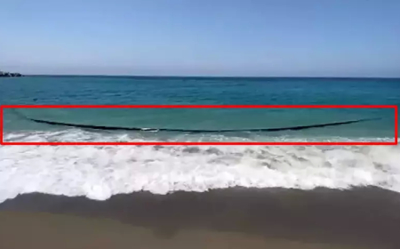 Selinus Sahili’nde 500 Metrelik Plastik Boru Bulundu: Kirlilik Soruşturması Derinleşiyor