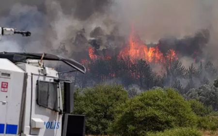 İzmir Bornova'da Orman Yangını: Havadan ve Karadan Yoğun Müdahale