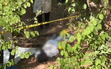 Sarıyer Ormanında Başına Poşet Geçirilmiş Erkek Cesedi: Kimliği Rus Vatandaşı Usman Amriev Çıktı