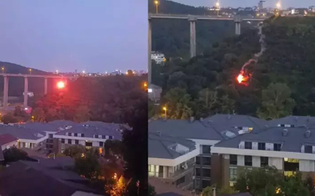 Beykoz’da Orman Yangınına Neden Olan Şüpheli Tutuklandı