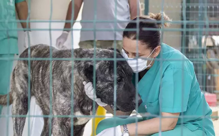 Mersin Büyükşehir Belediyesi'nden Bakımevi Görüntülerine Açıklama: “Tedavi Süreci Devam Ediyor”