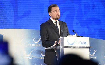 Gazze’de Açlık, İsrail’de Lüks: Leonardo DiCaprio’nun Yatırımı Tepki Çekti