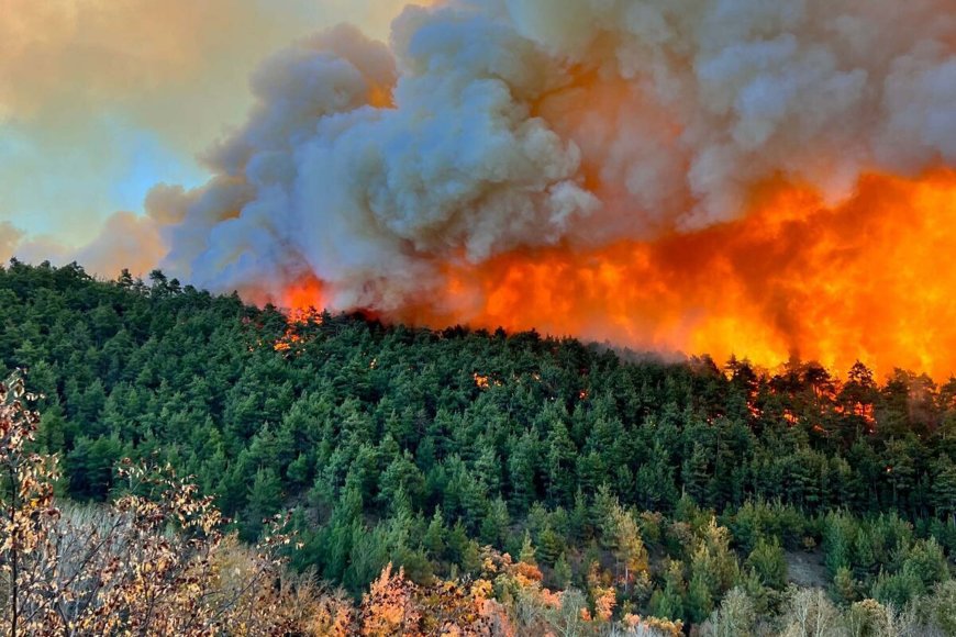Bursa Orhaneli'nde Orman Yangını Yeniden Alevlendi: 4 Mahalle Tahliye Edildi, 1 Gözaltı