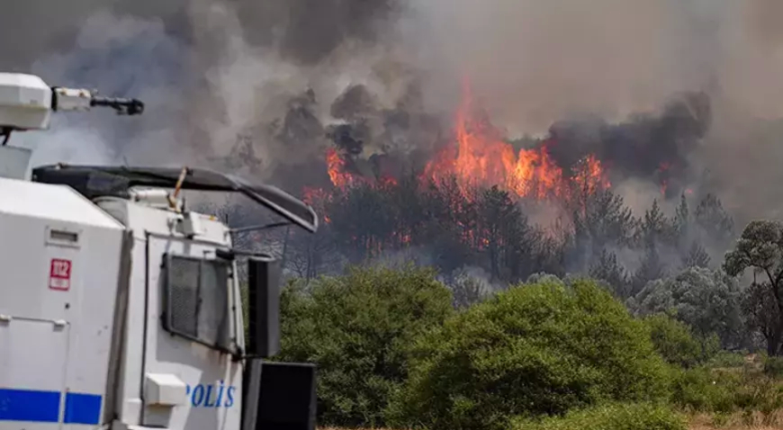 İzmir Bornova'da Orman Yangını: Havadan ve Karadan Yoğun Müdahale