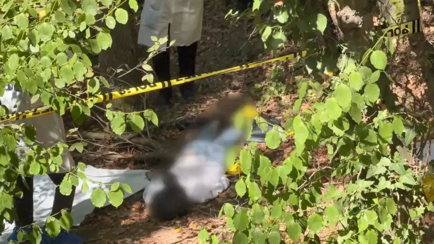 Sarıyer Ormanında Başına Poşet Geçirilmiş Erkek Cesedi: Kimliği Rus Vatandaşı Usman Amriev Çıktı