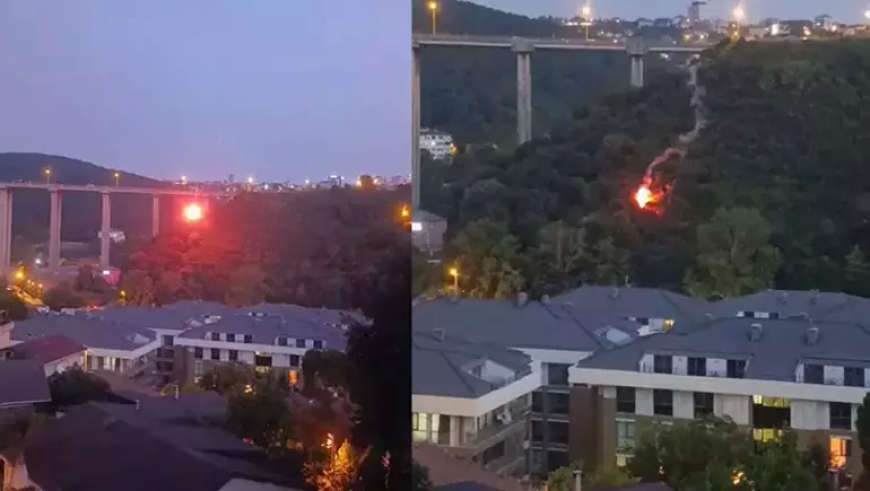 Beykoz’da Orman Yangınına Neden Olan Şüpheli Tutuklandı