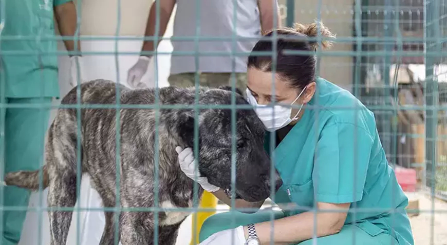 Mersin Büyükşehir Belediyesi'nden Bakımevi Görüntülerine Açıklama: “Tedavi Süreci Devam Ediyor”