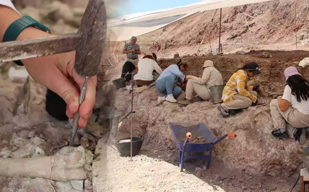 Kavurucu Sıcakta 9 Milyon Yıllık Sırların Peşindeler: Çankırı’da Fosil Kazısı Devam Ediyor