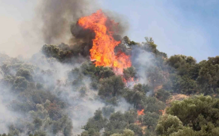 Karabük ve Denizli’de Orman Yangını: Havadan ve Karadan Müdahale Sürüyor