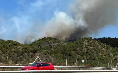 Tokat Erbaa'da Orman Yangını Kontrol Altına Alınmaya Çalışılıyor