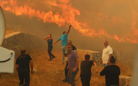 Türkiye’de Orman Yangını Alarmı: 2 Günde 150 Yangın, 23 Gözaltı