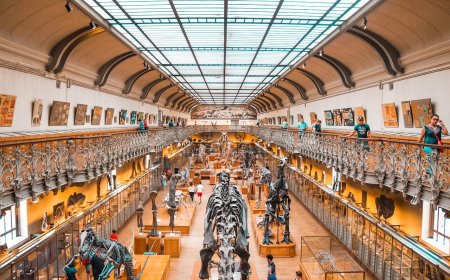 Londra Doğa Tarihi Müzesi: Bilim, Mimari ve Keşfin Kalbi