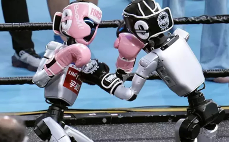 Çin’de Humanoid Robotlar Dünyası: 500’ü Aşkın Robot Yarışıyor