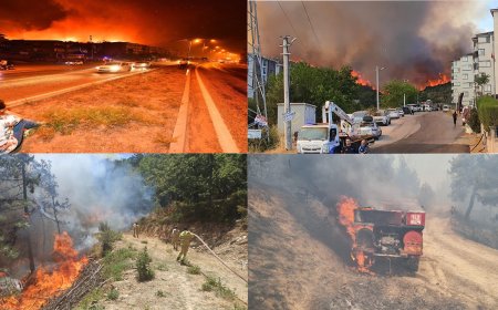 Türkiye’nin Dört Bir Yanında Orman Yangınlarıyla Mücadele: Bazı Evler Tahliye Edildi