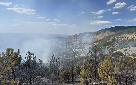 Çorum Çalyayla’da Orman Yangını: Ekipler Müdahalesini Sürdürüyor