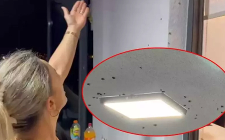 Rize'de Evleri “Vampir Kelebekler” Bastı