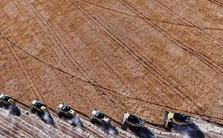 Haziranda Tarımsal Girdi Fiyatları Yüzde 33,88 Arttı