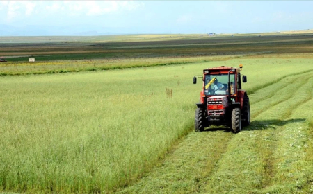 Tarımsal Girdi Fiyatları Haziran Ayında da Artmaya Devam Etti