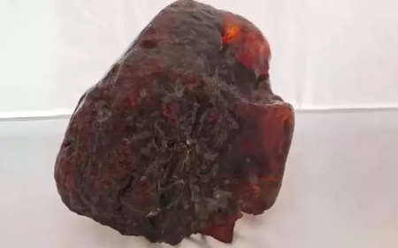 Romanya’da Kapı Desteği Sandığı Taş, Milyonluk Amber Çıktı