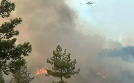 Muğla Seydikemer’de Orman Yangını: Alevler Yerleşim Yerlerine Doğru İlerliyor