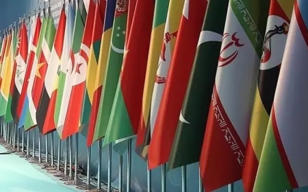 İİT, İsrail’in Filistin Saldırılarını Görüşmek Üzere Olağanüstü Toplanıyor