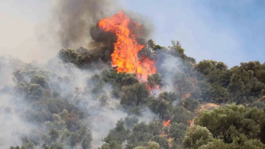Karabük ve Denizli’de Orman Yangını: Havadan ve Karadan Müdahale Sürüyor